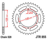 Задняя звезда JT JTR855.48