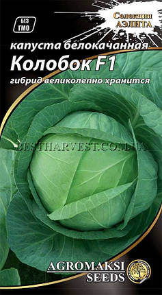 Насіння капусти білоголової "Колобок" F1 0.3 г, фото 1