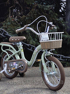 Дитячий велосипед Retro Xaming 5802-14