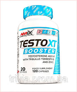Тестостероновый бустер Amix Nutrition Performance Amix TestoXT Booster 120 Caps 892A4A203E