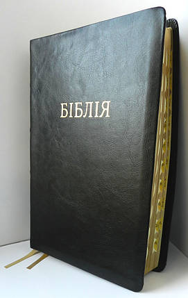 Біблія, 17х24,5 см, чорна, фото 1