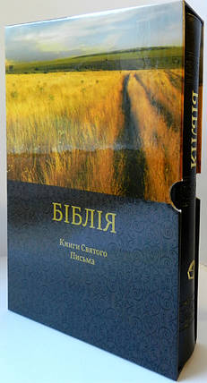 Подарункова Біблія, Книги Святого Письма, у картонному футлярі 17,5х24,5 см, чорна, з тисненням, фото 2