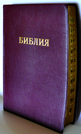 Біблія, 16х24 см, вишнева, фото 2