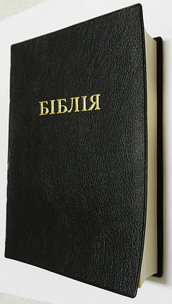 Біблія, 13х21 см, чорна, фото 2