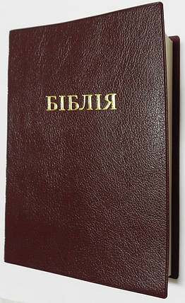 Біблія, 13х21 см, бордо, фото 2