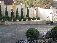 Тротуарна плитка: укладання зміст і ремонт