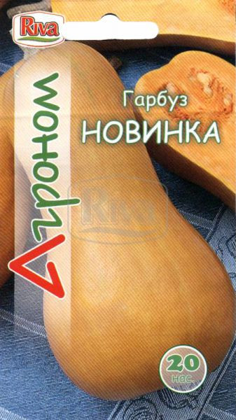 Гарбуз НОВИНКА 20н (Рива Трейд)