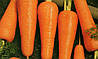Морква Канада F1 10 грам, фото 2