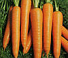 Морква Віта Лонга 20 грамів, фото 2