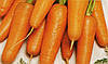 Морква каріні 20 грамів, фото 2