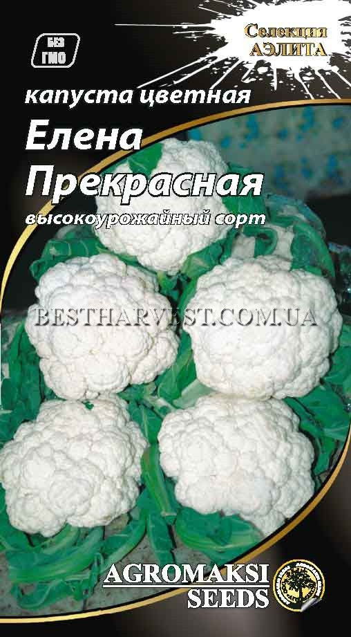 Насіння капусти кольорової "Олена прекрасна" 0.5 г