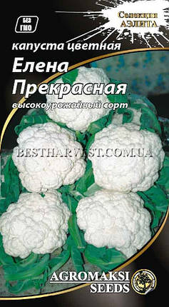 Насіння капусти кольорової "Олена прекрасна" 0.5 г, фото 2