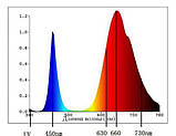 Фітодіоди повного спектра 100 шт., 3W, 400nm-840nm 45mil, фото 3
