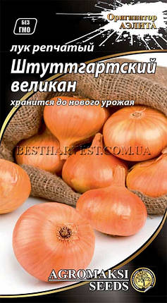 Насіння цибулі ріпчастої "Штуттгартский велетень" 1 г, фото 1