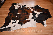 Шкура корови - коров'яча шкіра "Триколор", фото 3