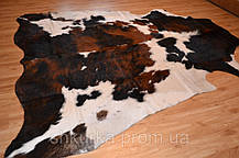 Шкура корови - коров'яча шкіра "Триколор", фото 3