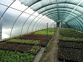 Сітка затінювальна 55%