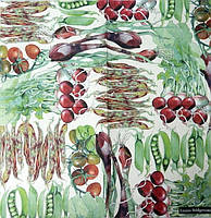 Серветка для декупажу ОВ-51 (33х33см)