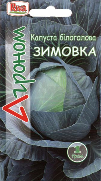 Капуста білочана Зимівка 1 г