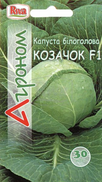 Капуста білочана Казачок F1, 30Н, фото 1