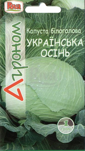 Капуста білочана УКРАЇННА ОСЕНЬ 1 г