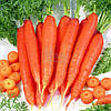 Морква АРТЕК 3 г Агроном, фото 2