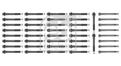 К-т болтів головки блоку DAF 27404 (FEBI)
