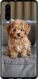 Чехол на Huawei P30 Mini-maltipoo "6158b-1622-71926"