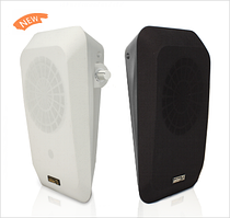 Настінні гучномовці