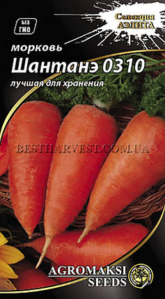 Насіння моркви "Шантане 0310" 3 г, фото 1