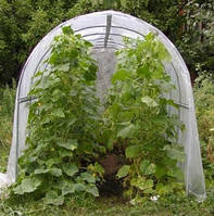 ПАРНИК "ОГІРОЧОК" 1х4.5х1.1 м ПІД ПЛІВКУ з оцинкованого М-профілю (двостороннє гаряче цинкування)