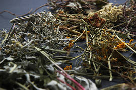 Лікувальні лікарські трави