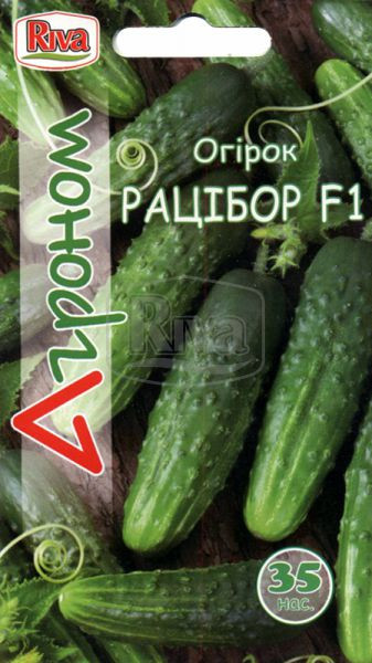 Огірок Рацибір F1, 35с, фото 1