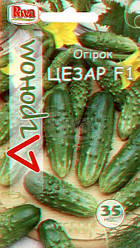 Огірок Цезар F1, 35с