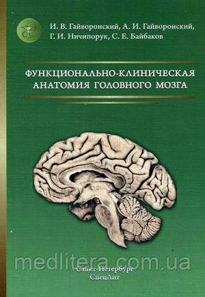 Гайворонський А. В. Функціонально-клінічна анатомія головного мозку
