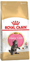 Royal Canin Maine Coon Kitten, 400 гр