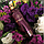 Жіноча нішева парфумована вода Montale Dark Purple 50ml, фото 6