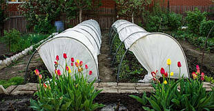 ПАРНИК "ПОДСНЕЖНИК" 8 м.