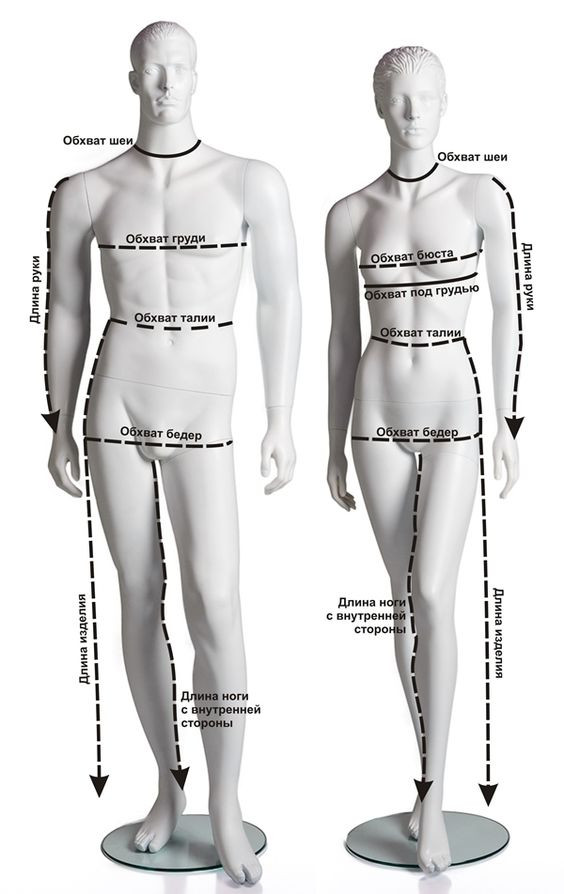 Как измерить своё тело и правильно подобрать одежду. Статьи компании  «Оптово-розничный интернет-магазин спортивной одежды "Boulevard"»