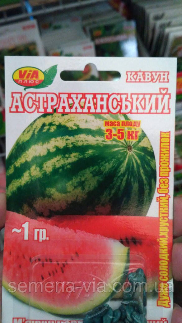 Насіння кавуна Астраганський (1 грам) ТМ VIA плюс