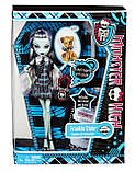 Лялька Monster High Френки Штейн базова з вихованцем, фото 2