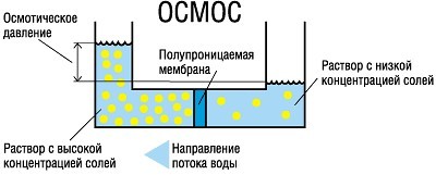 Обратный осмос «AW» с защитой от протечек - фото 3 - id-p3074849