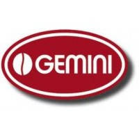 -Gemini- в чалдах