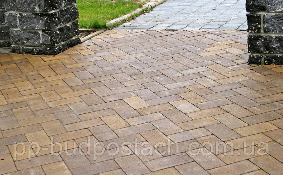 Тротуарна плитка Цегла (200х100) Золотий мандарин, фото 1