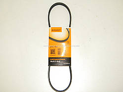 Поліклинові ремінь на Рено Кенго II 1.6 i (2008>) CONTITECH (Німеччина) 4PK725