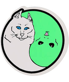 Ripndip