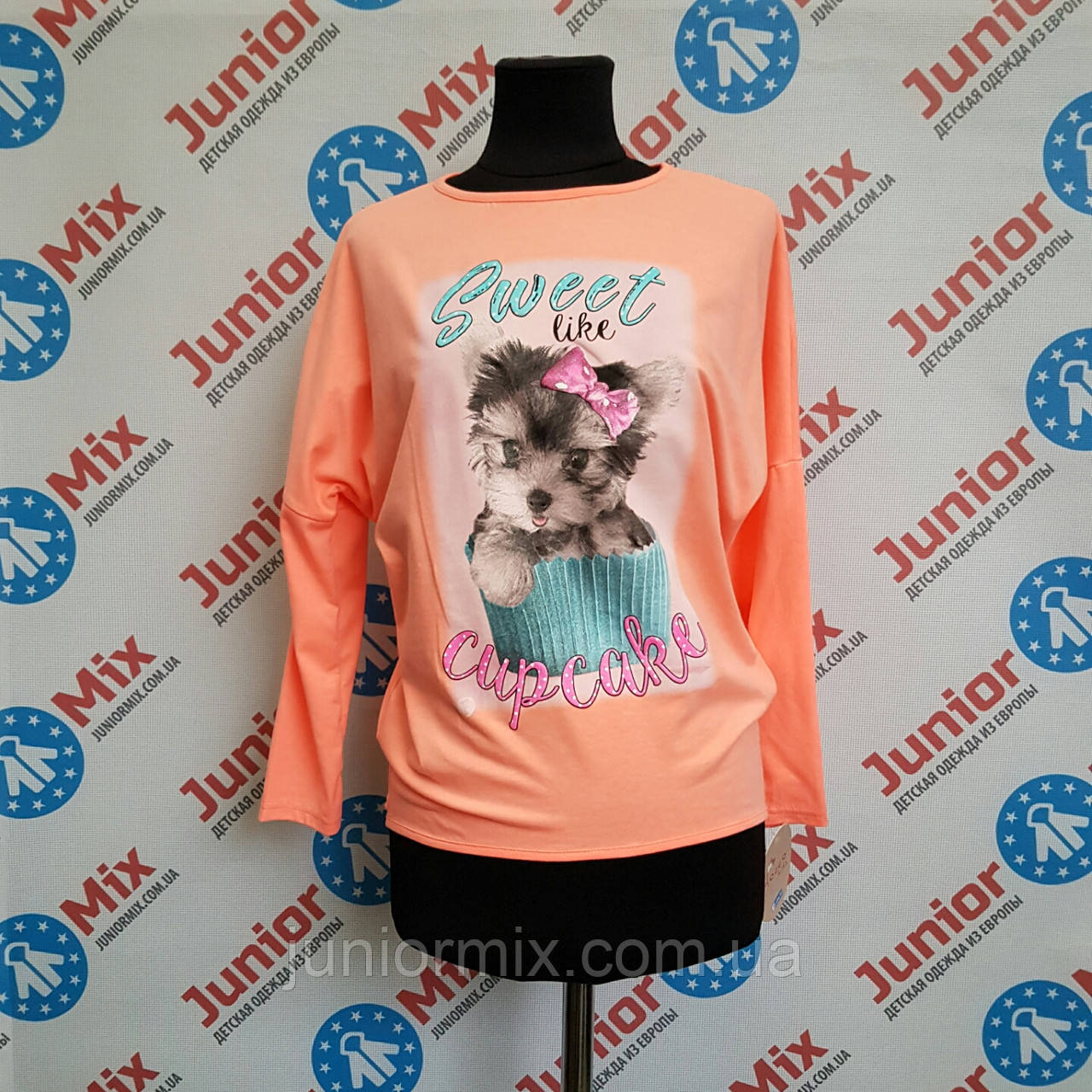 Кофта дитяча на дівчинку Flocco ПОЛЬША