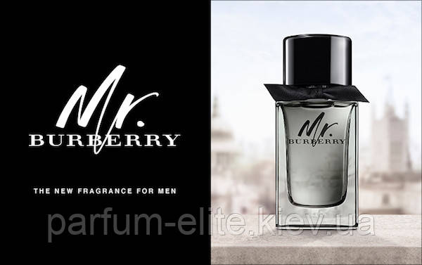Burberry mr edt sale