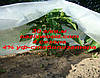 Агроволокно р-30g 3.2*50м AGREEN 4сезона біле Італійське якість, фото 7