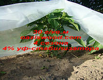 Агроволокно р-30g 1,6*500м AGREEN 4сезона біле Італійське якість, фото 4